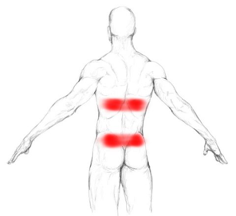 internal oblique travell and simons internal oblique travell and simons