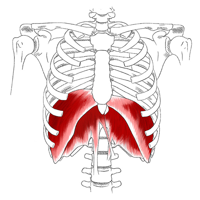 Diaphragm Pain & Trigger Points